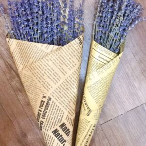 LAVENDER KHÔ GIỐNG ĐẸP LOẠI A (45-50cm)