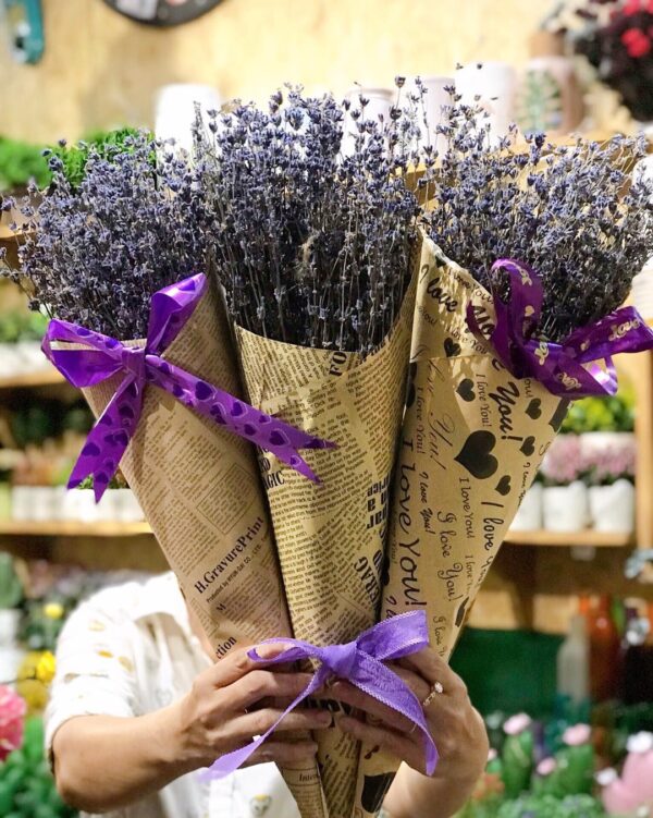 LAVENDER ( giống Pháp ), hoa khô bán theo gram