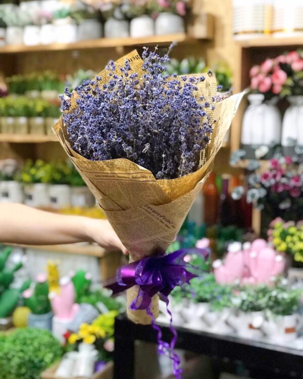 LAVENDER ( giống Pháp ), hoa khô bán theo gram