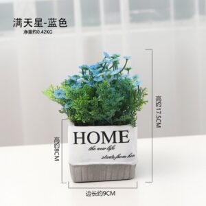 CHẬU HOME ĐỂ BÀN-TRANG TRÍ ĐỘC ĐÁO