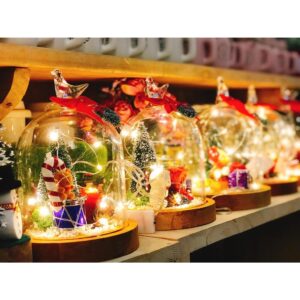 CHỤP ĐÈN NOEL ĐOM ĐÓM LỚN