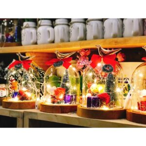 CHỤP ĐÈN NOEL ĐOM ĐÓM LỚN