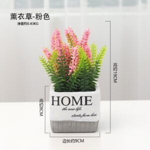 CHẬU HOME ĐỂ BÀN-TRANG TRÍ ĐỘC ĐÁO