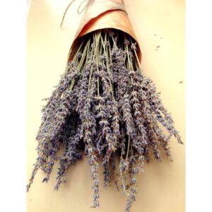 Hoa Lavender khô thơm (bó nhỏ)