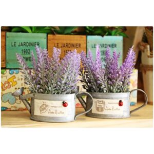 Bình Tưới Nhôm hoa Lavender