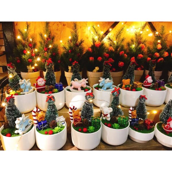 QUÀ NOEL - CHẬU CÂY THÔNG LỚN DECOR