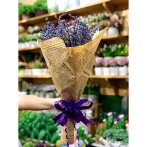 LAVENDER KHÔ GIỐNG ĐẸP LOẠI A (45-50cm)