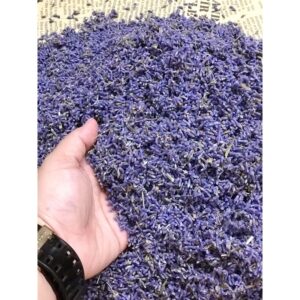 QUÀ TẶNG BÓ LAVENDER-QUÀ TẶNG ĐỘC ĐÁO-Ý NGHĨA